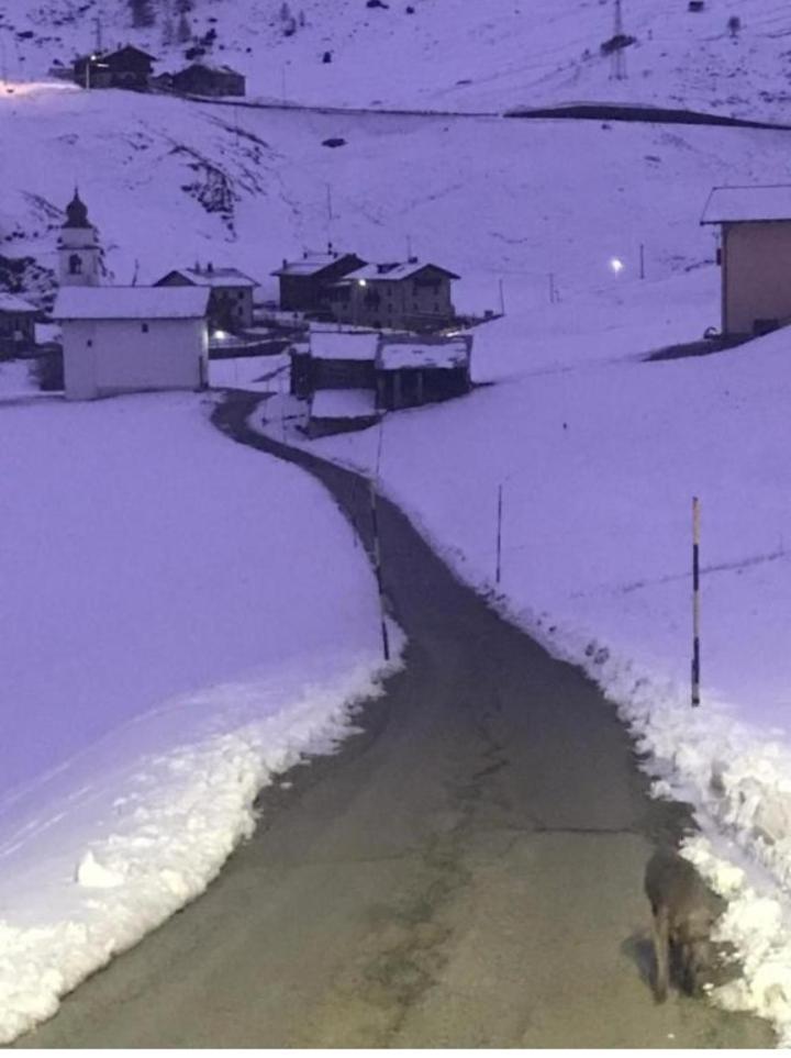 Appartamento Fausta Livigno Esterno foto